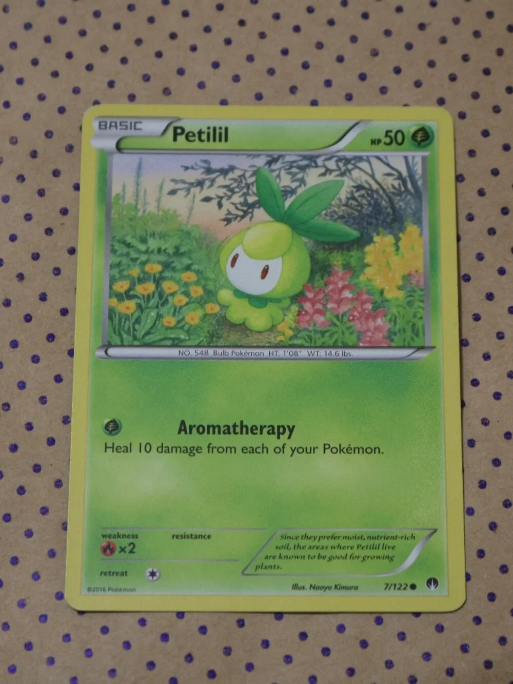 petilil pokemon card - 015/189 - Astral Radiance holofoil pattern or surface detail) Pokemon 2011 Pokemon Kids 15th